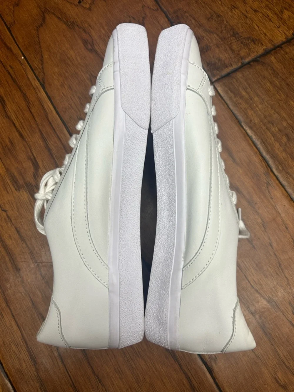 Madewell Women's Sidewalk Low-Top Sneakers